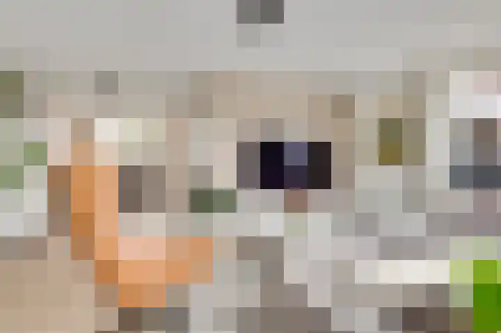 Roosveldsingel 23 Heythuysen thumbnail 11