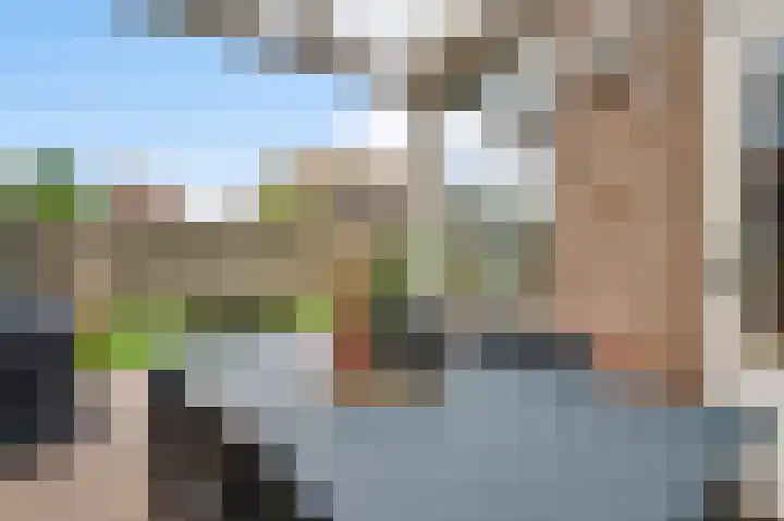Roosveldsingel 23 Heythuysen thumbnail 31