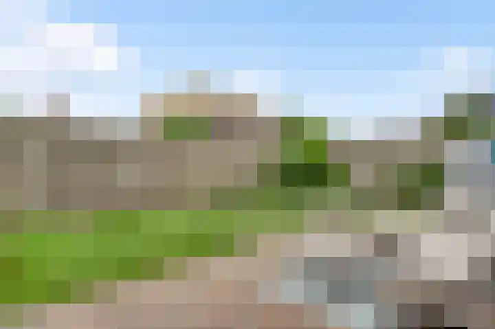 Roosveldsingel 23 Heythuysen thumbnail 32