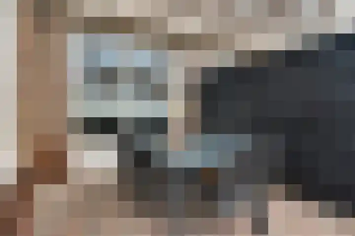 Roosveldsingel 23 Heythuysen thumbnail 33