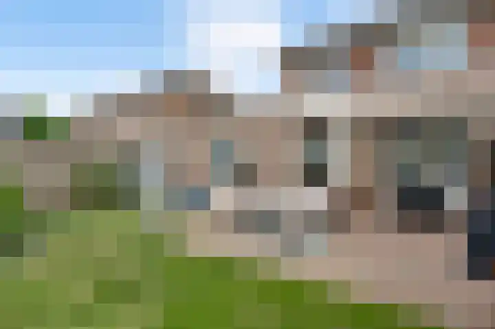 Roosveldsingel 23 Heythuysen thumbnail 34