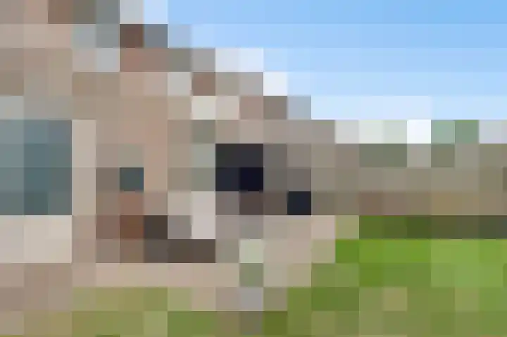 Roosveldsingel 23 Heythuysen thumbnail 36