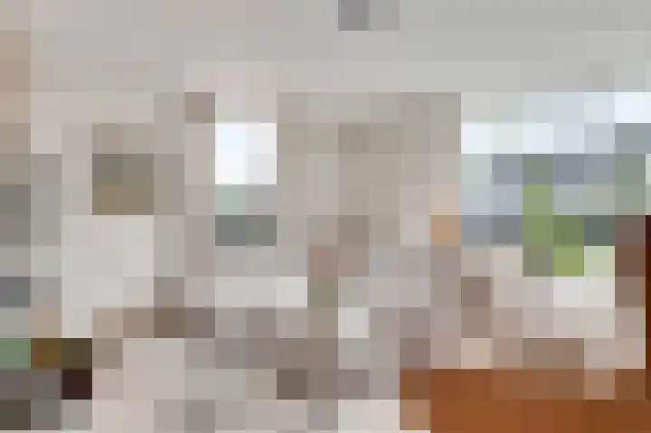 Roosveldsingel 23 Heythuysen thumbnail 9