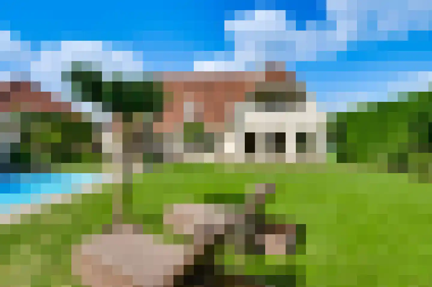 Roosveldsingel 41 Heythuysen thumbnail 37