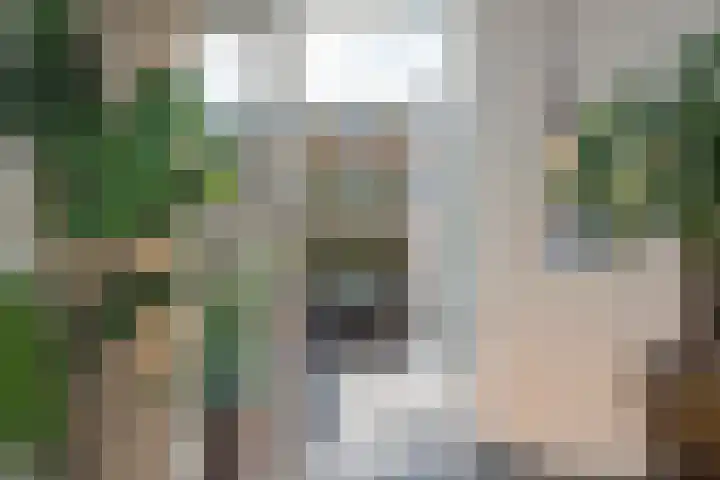 Roosveldstraat 18 Haarlem thumbnail 21