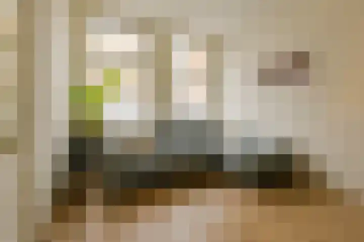 Roosveldstraat 51 Haarlem thumbnail 5