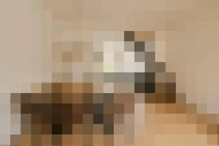 Roosveldstraat 51 Haarlem thumbnail 7