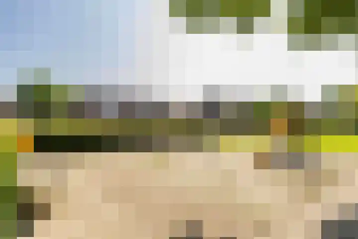 Rootakkers 11 Helmond thumbnail 12