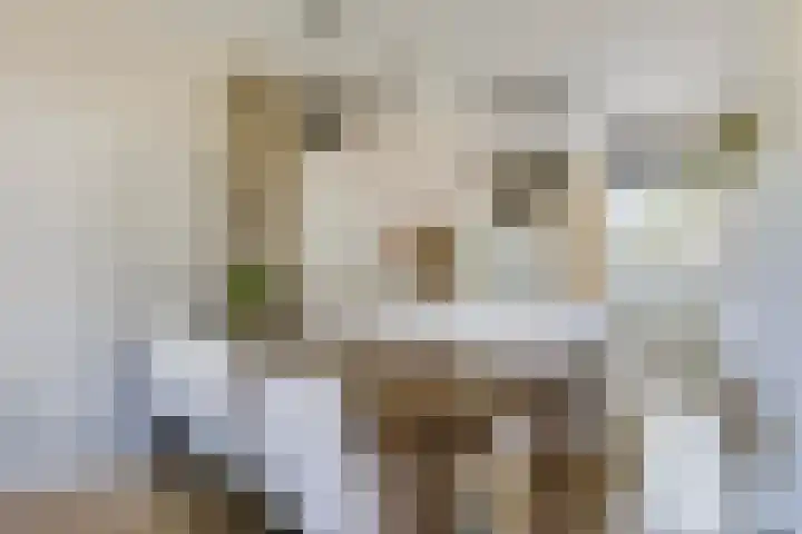 Rootakkers 11 Helmond thumbnail 22