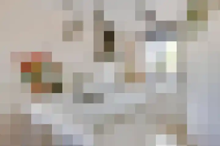 Rootakkers 11 Helmond thumbnail 23