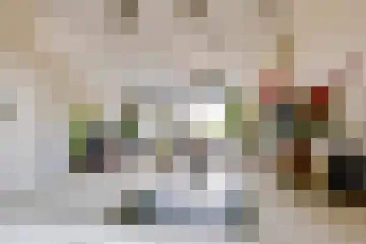 Rootakkers 11 Helmond thumbnail 27