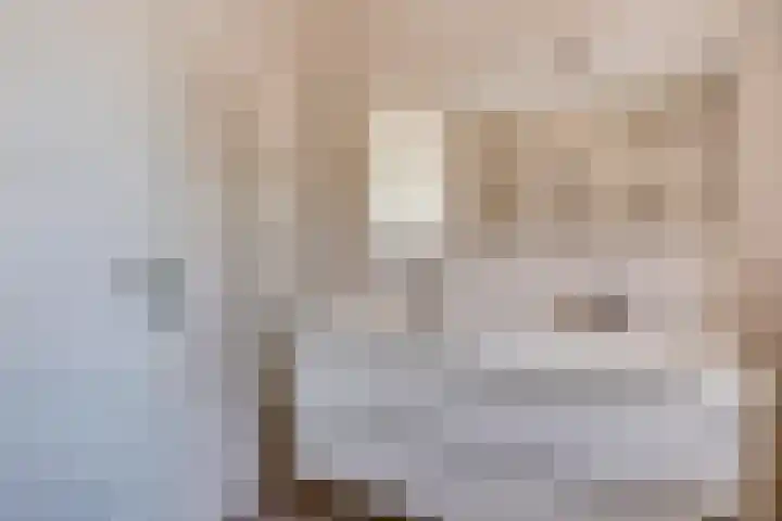 Rootakkers 11 Helmond thumbnail 37