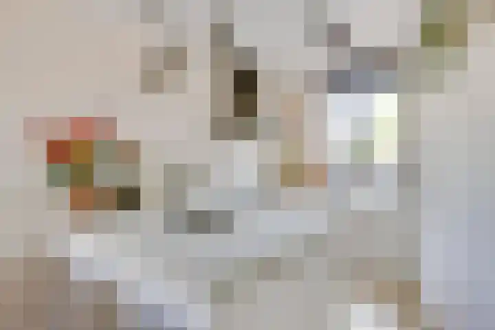Rootakkers 11 Helmond thumbnail 4