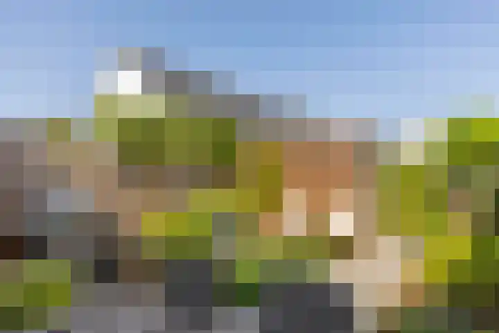 Rootakkers 11 Helmond thumbnail 44