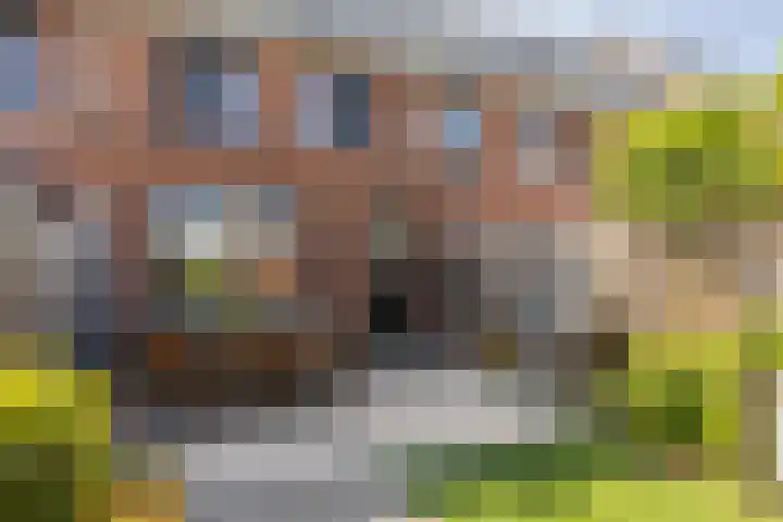 Rootakkers 11 Helmond thumbnail 46