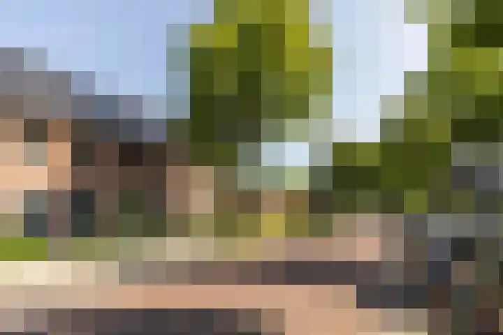 Rootakkers 11 Helmond thumbnail 8