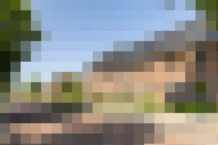 Rootakkers 11 Helmond thumbnail 9