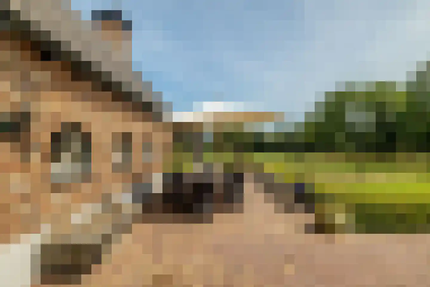 Rootakkers 59 Helmond thumbnail 22