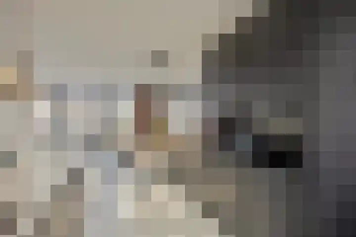 Rootakkers 9 Helmond thumbnail 12