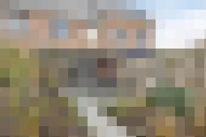 Rootakkers 9 Helmond thumbnail 20
