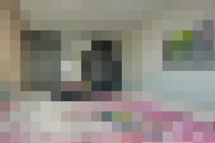 Rootakkers 9 Helmond thumbnail 26