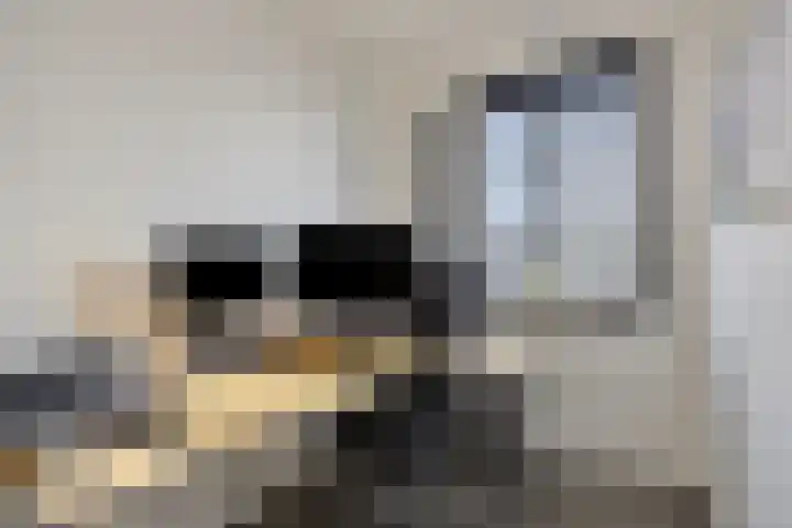 Rootakkers 9 Helmond thumbnail 32