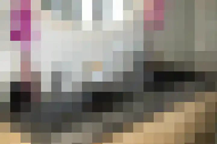 Rootakkers 9 Helmond thumbnail 34
