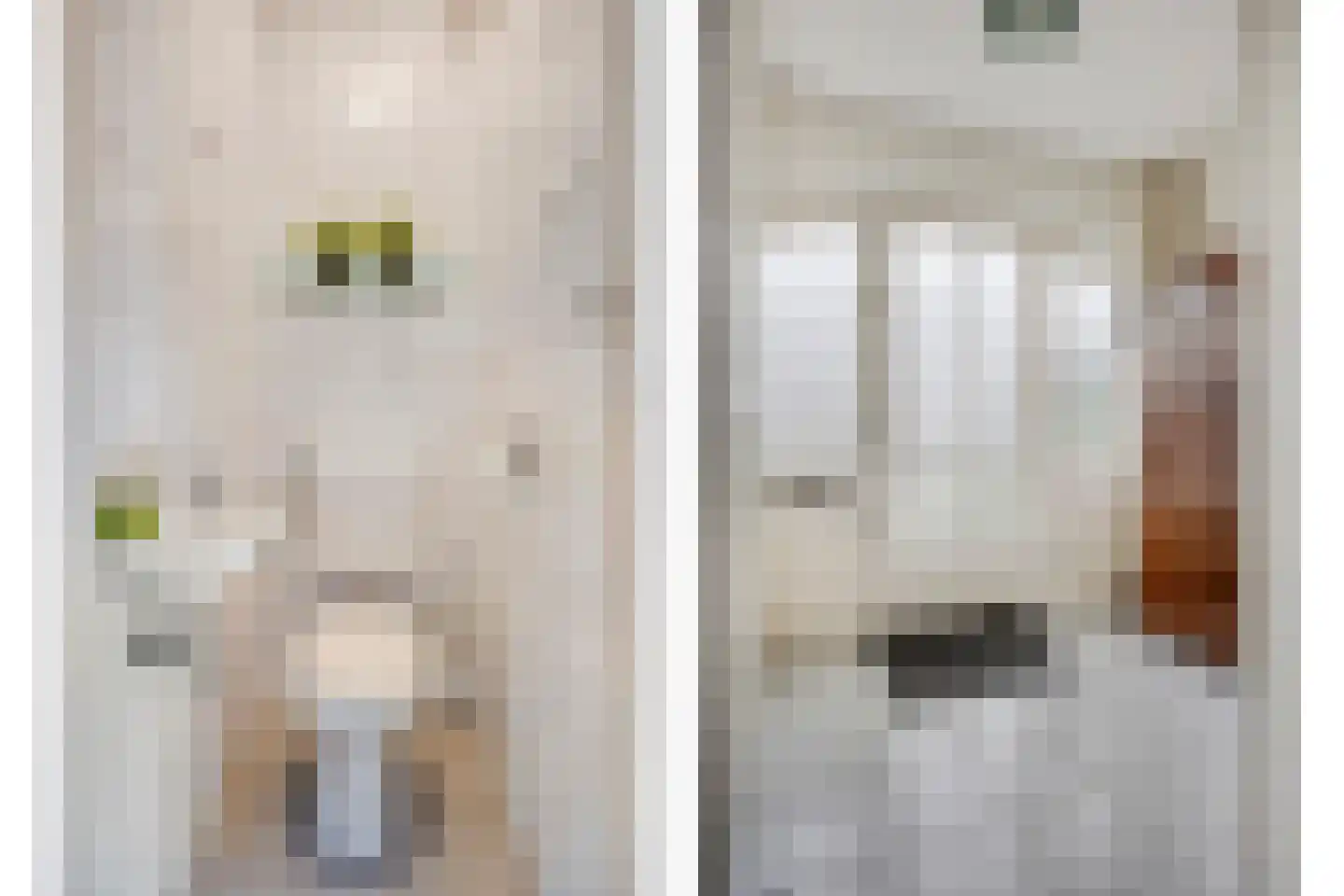 Roothaanstraat 2 Eindhoven thumbnail 12