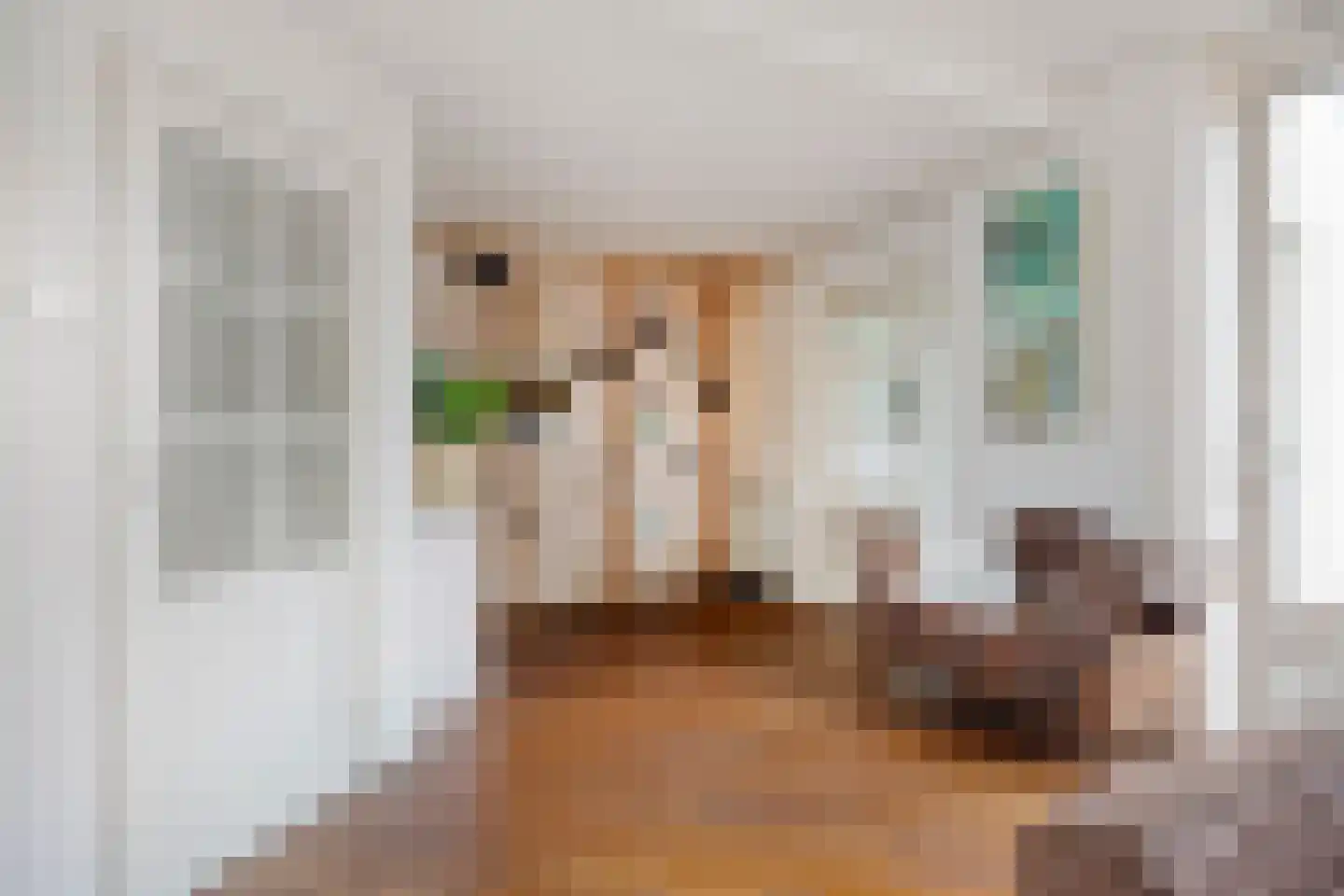Roothaanstraat 2 Eindhoven thumbnail 20