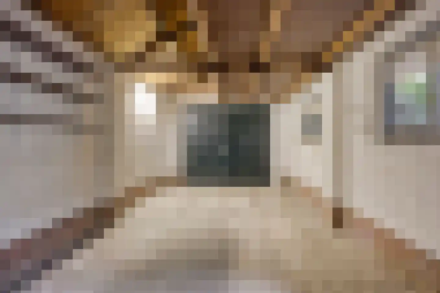 Roothaanstraat 2 Eindhoven thumbnail 38