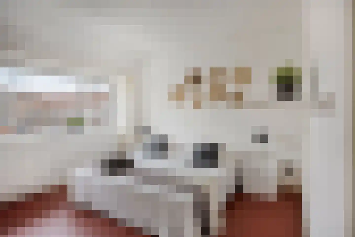 Roothaanstraat 2 Eindhoven thumbnail 4