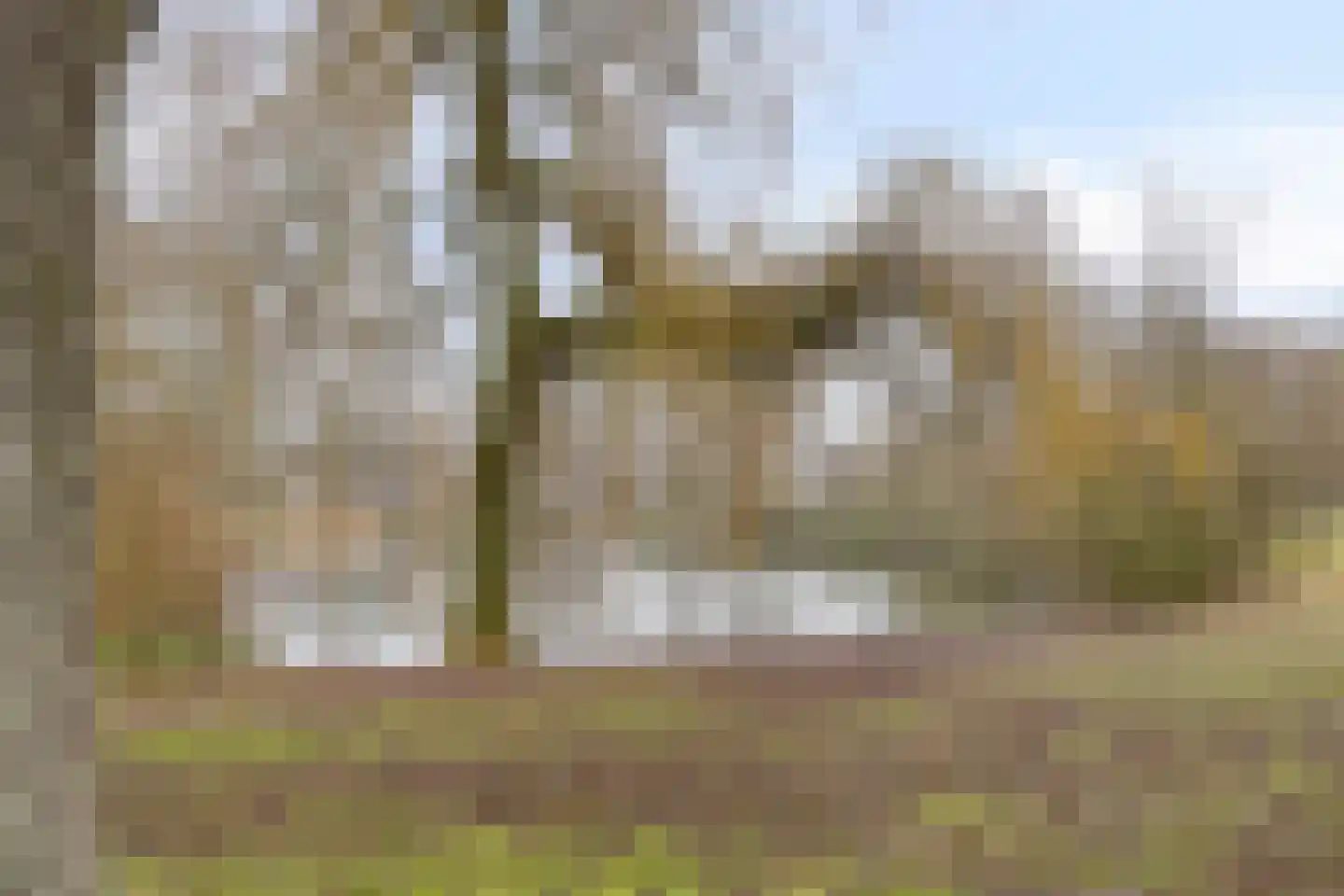 Roothaanstraat 2 Eindhoven thumbnail 42