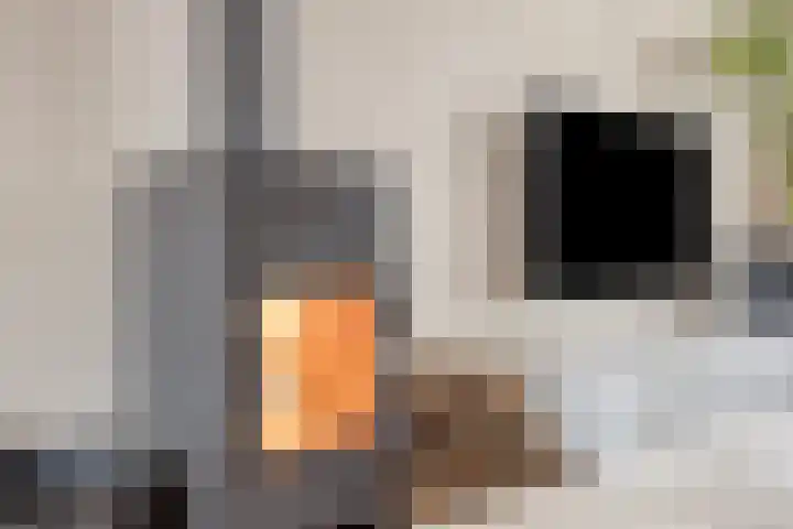 Roothaanstraat 32 Eindhoven thumbnail 10