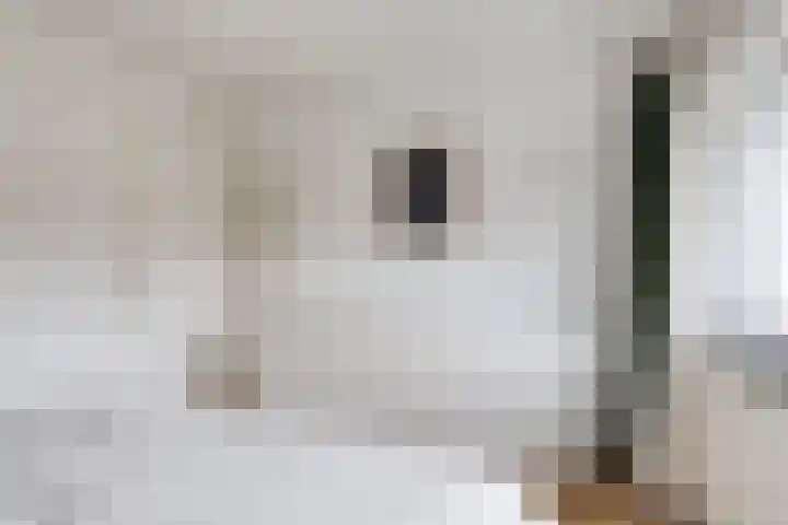 Roothaanstraat 32 Eindhoven thumbnail 17