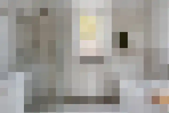 Roothaanstraat 32 Eindhoven thumbnail 20