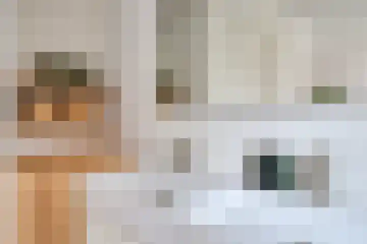 Roothaanstraat 32 Eindhoven thumbnail 22