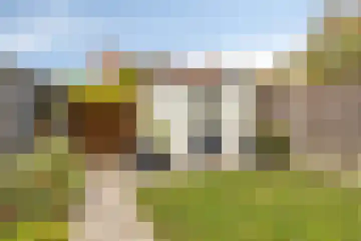 Roothaanstraat 32 Eindhoven thumbnail 26
