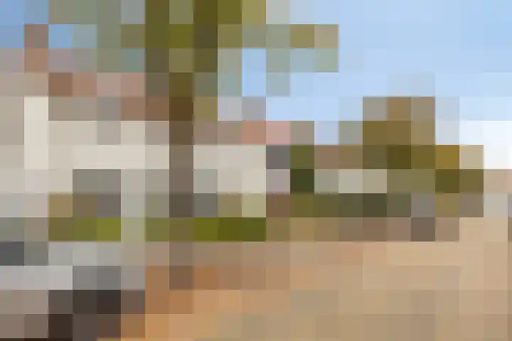 Roothaanstraat 32 Eindhoven thumbnail 27