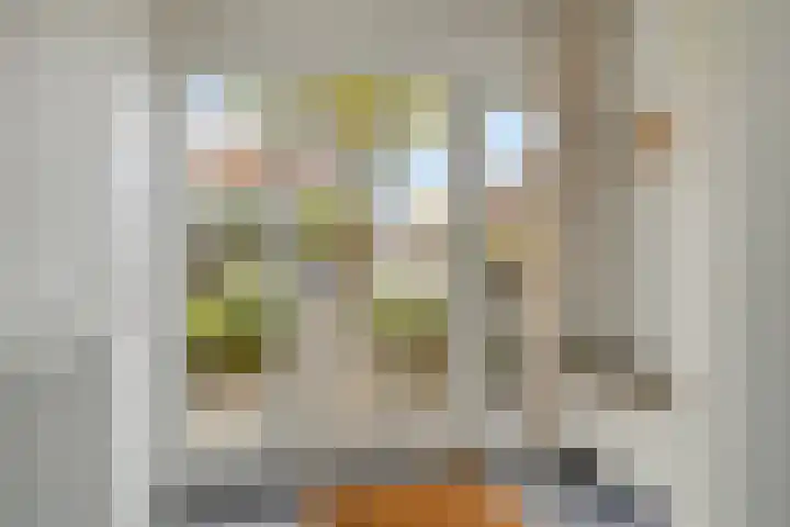 Roothaanstraat 32 Eindhoven thumbnail 6