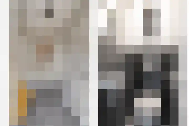 Roothaanstraat 32 Eindhoven thumbnail 7