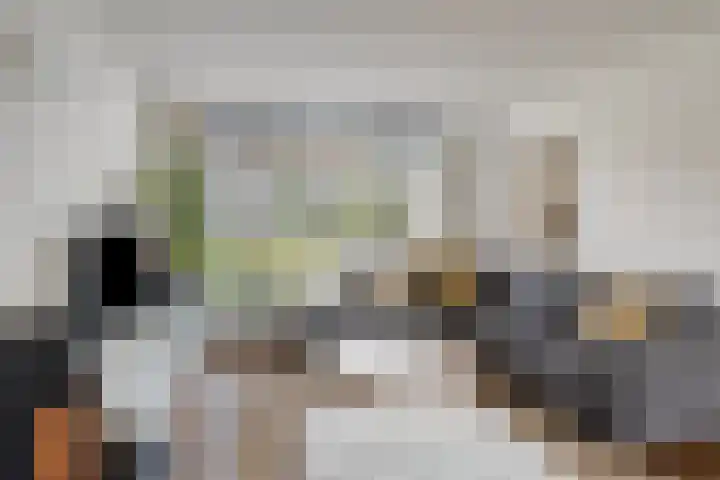 Roothaanstraat 32 Eindhoven thumbnail 8