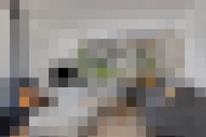 Roothaanstraat 32 Eindhoven thumbnail 9