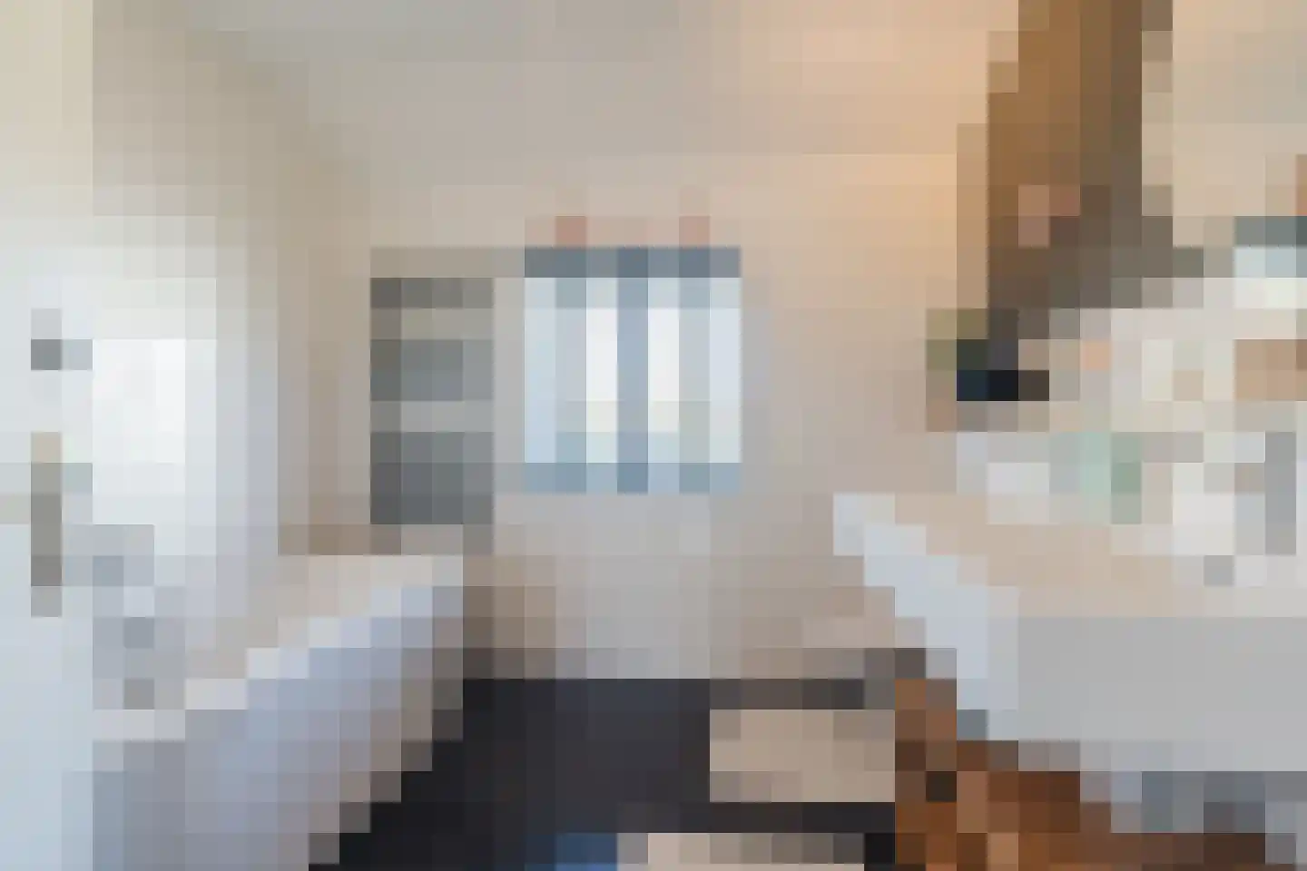 Roothaanstraat 6 Eindhoven thumbnail 30