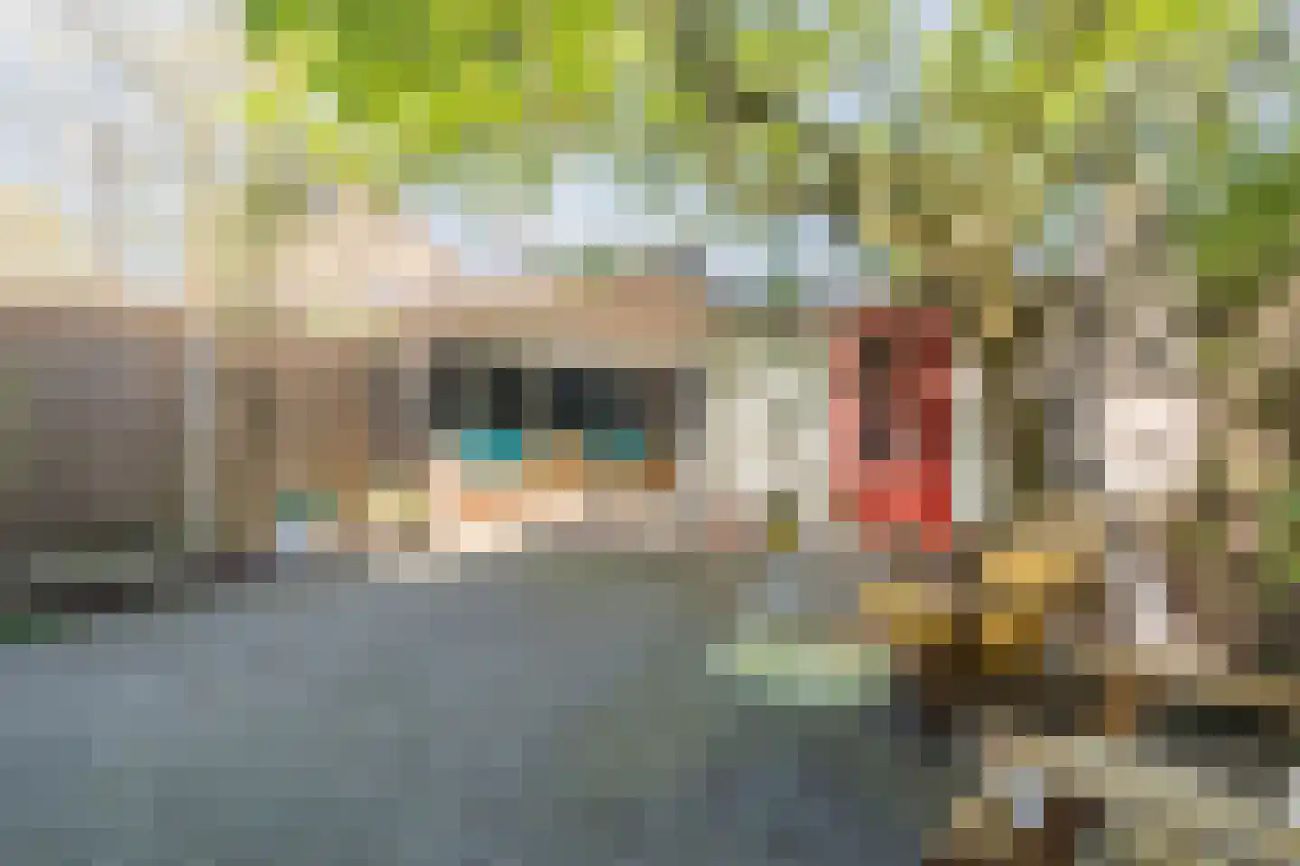 Roothaanstraat 6 Eindhoven thumbnail 39