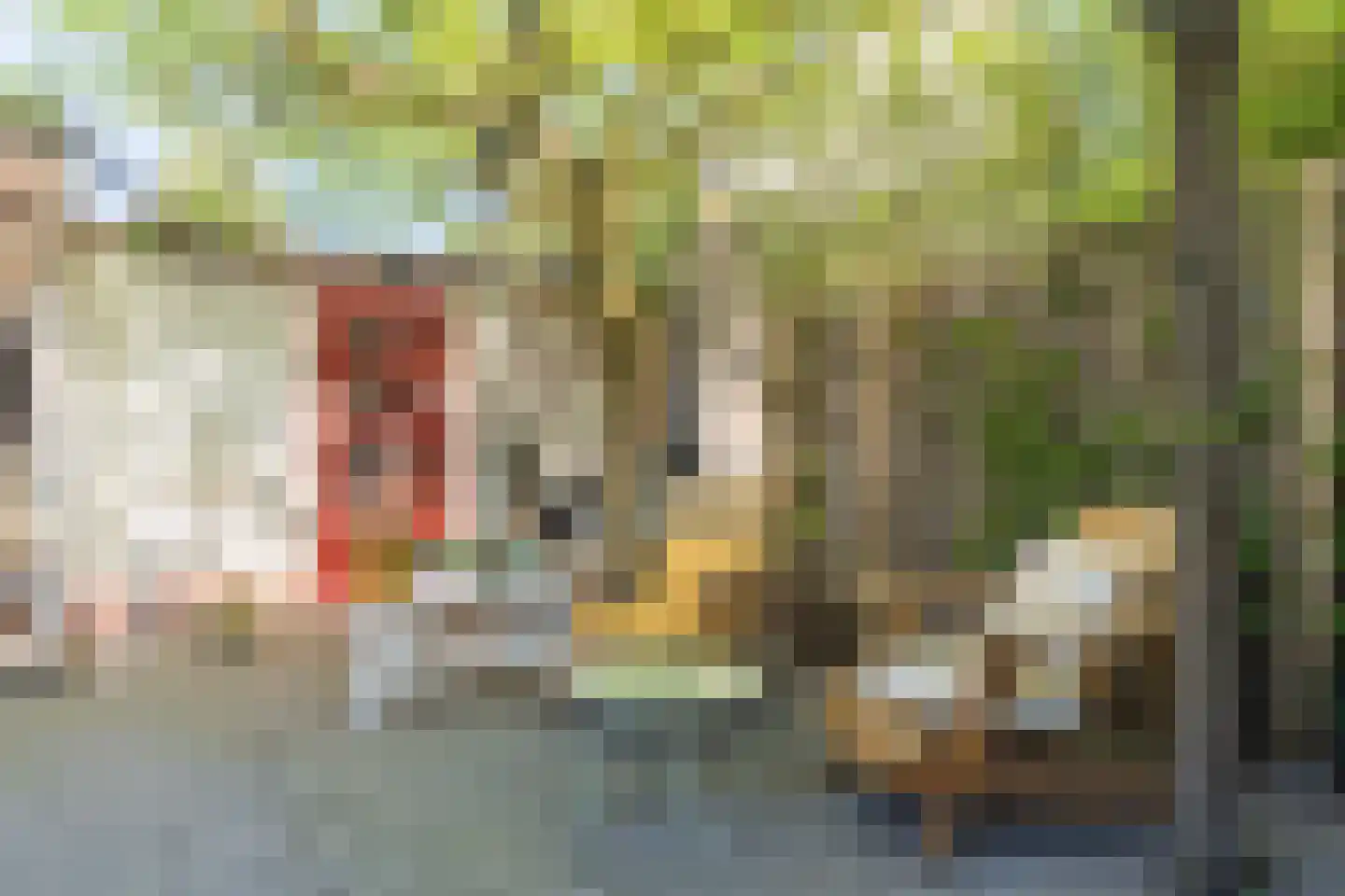 Roothaanstraat 6 Eindhoven thumbnail 40