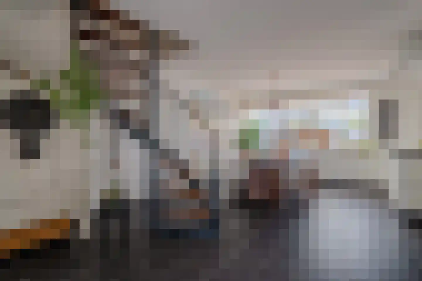 Roothaertstraat 45 Deurne thumbnail 10