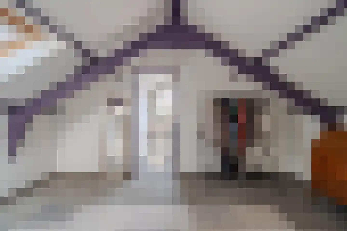 Roothaertstraat 45 Deurne thumbnail 39