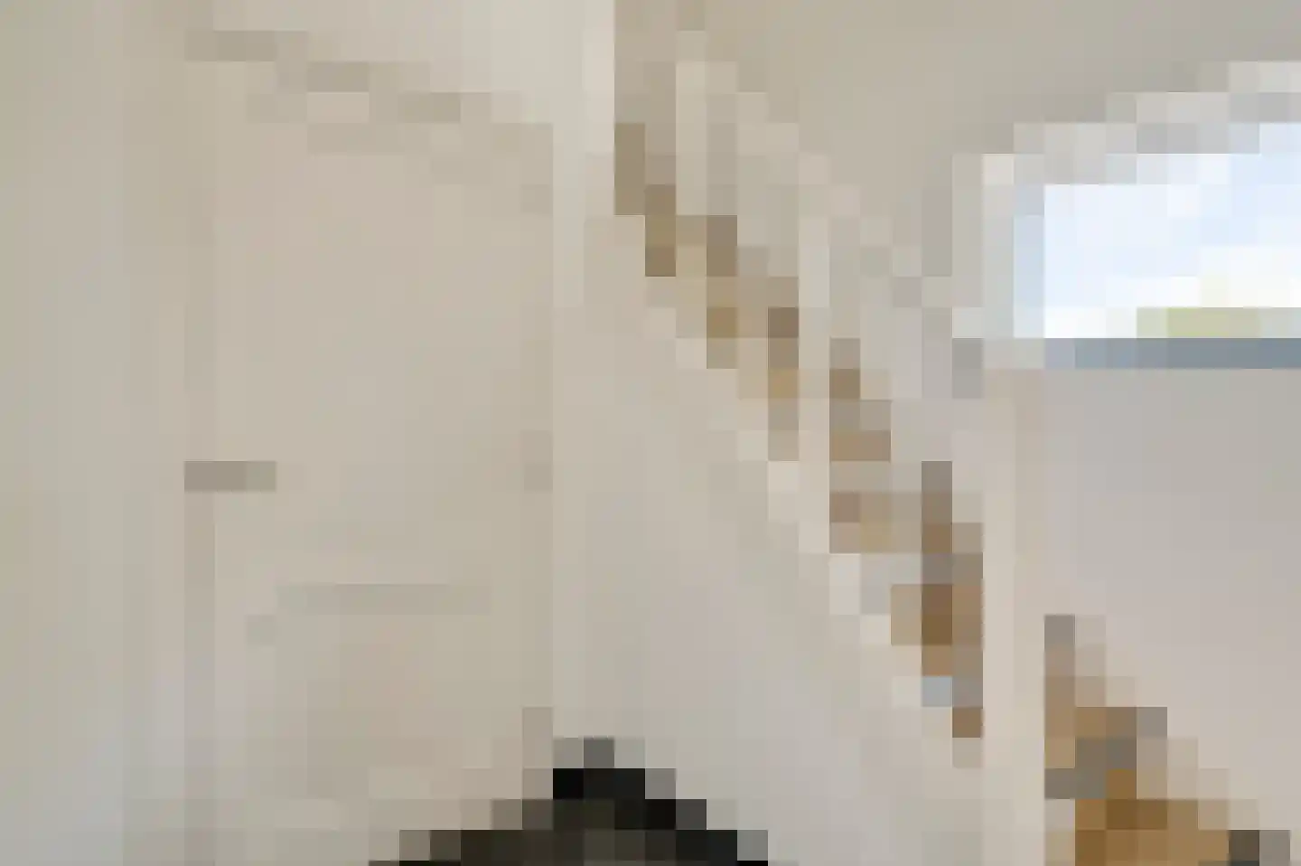 Roothweg 8 Meterik thumbnail 20