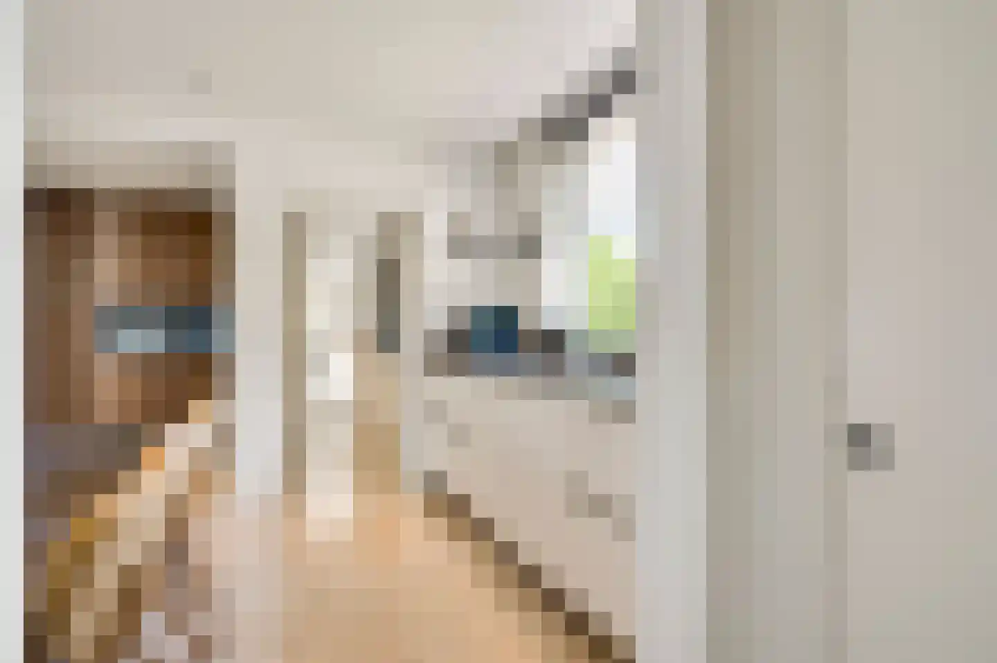 Roothweg 8 Meterik thumbnail 23
