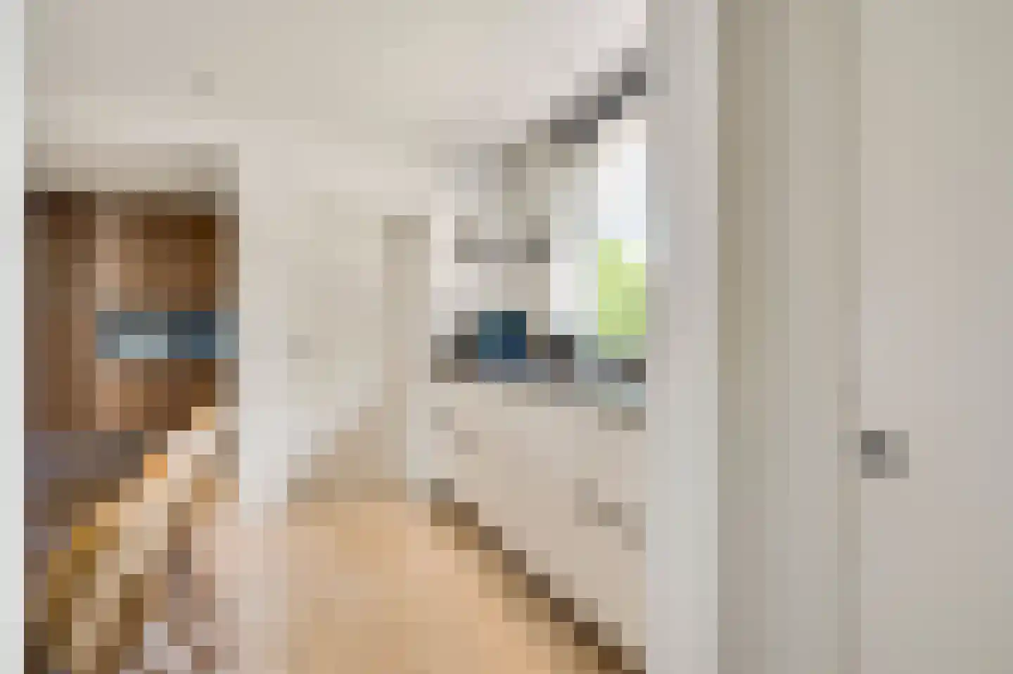 Roothweg 8 Meterik thumbnail 24